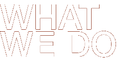 What We Do